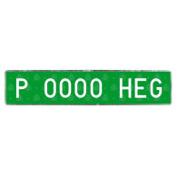 PLACA TEMPORAL PARTICULAR LARGA 520 X 110