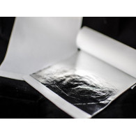 LIBRO 25 HOJAS PLATA